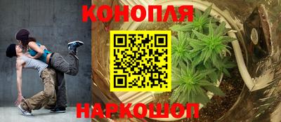сатива Беслан