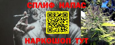 мет Бийск