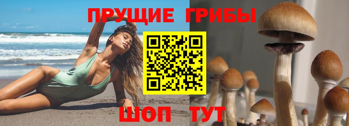 Галлюциногенные грибы мухоморы  Вход с VPN  Псилоцибиновые грибы GOLDEN TEACHER  купить наркотик  Ирбит 